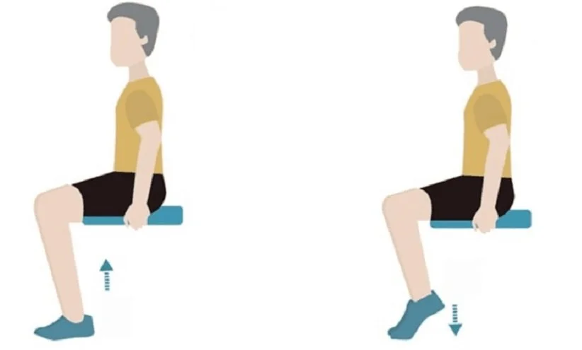 seated calf raises