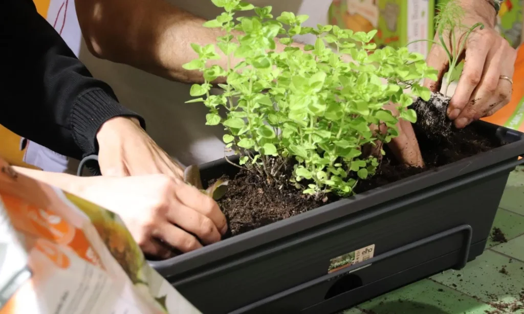 gardening made easy for seniors
