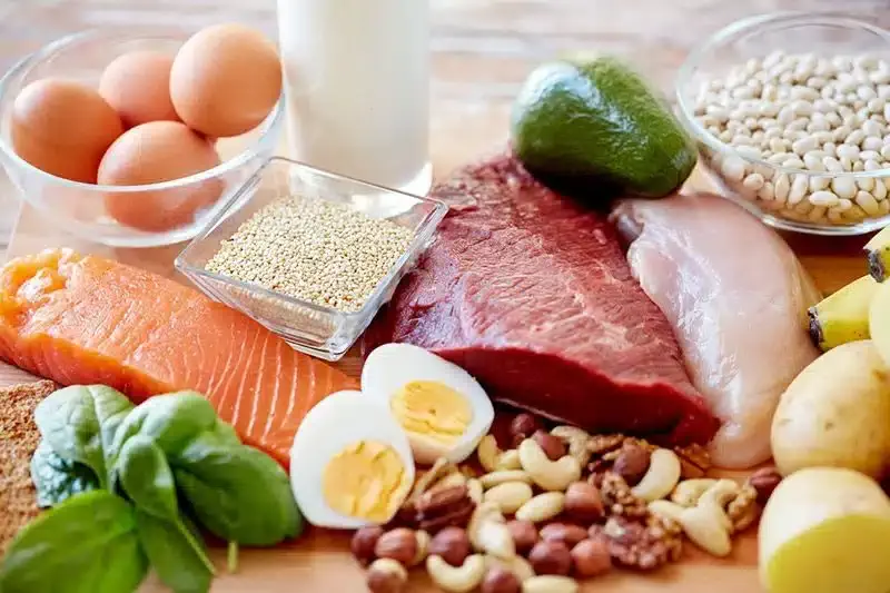best protein-rich foods for seniors