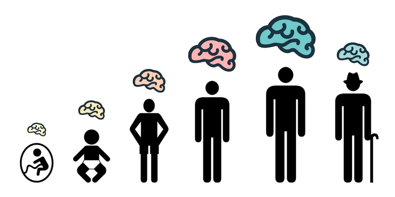 cognitive changes of the elderly