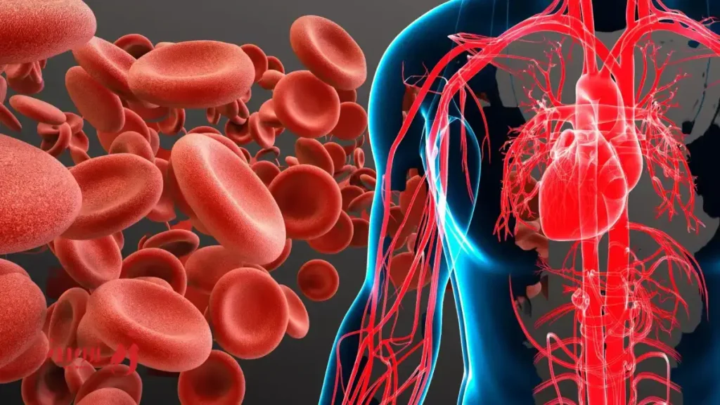 anemia in the elderly