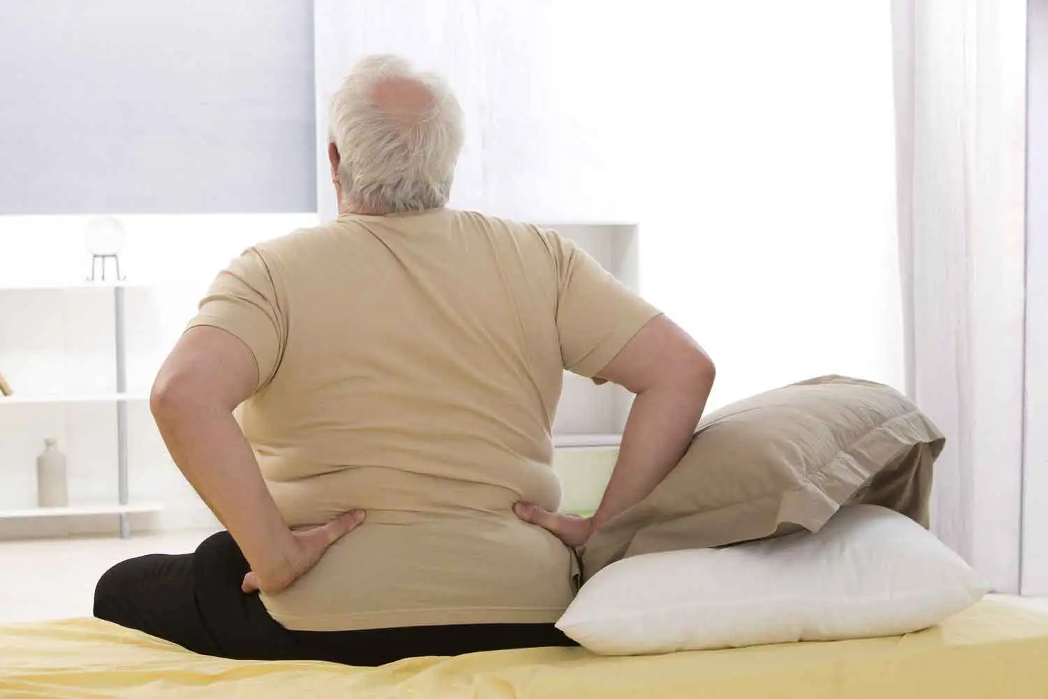 what causes obesity in the elderly