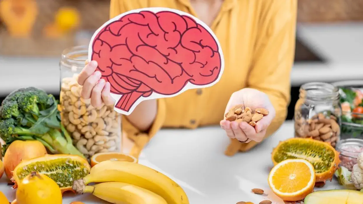 dietary recommendations for alzheimer's patients