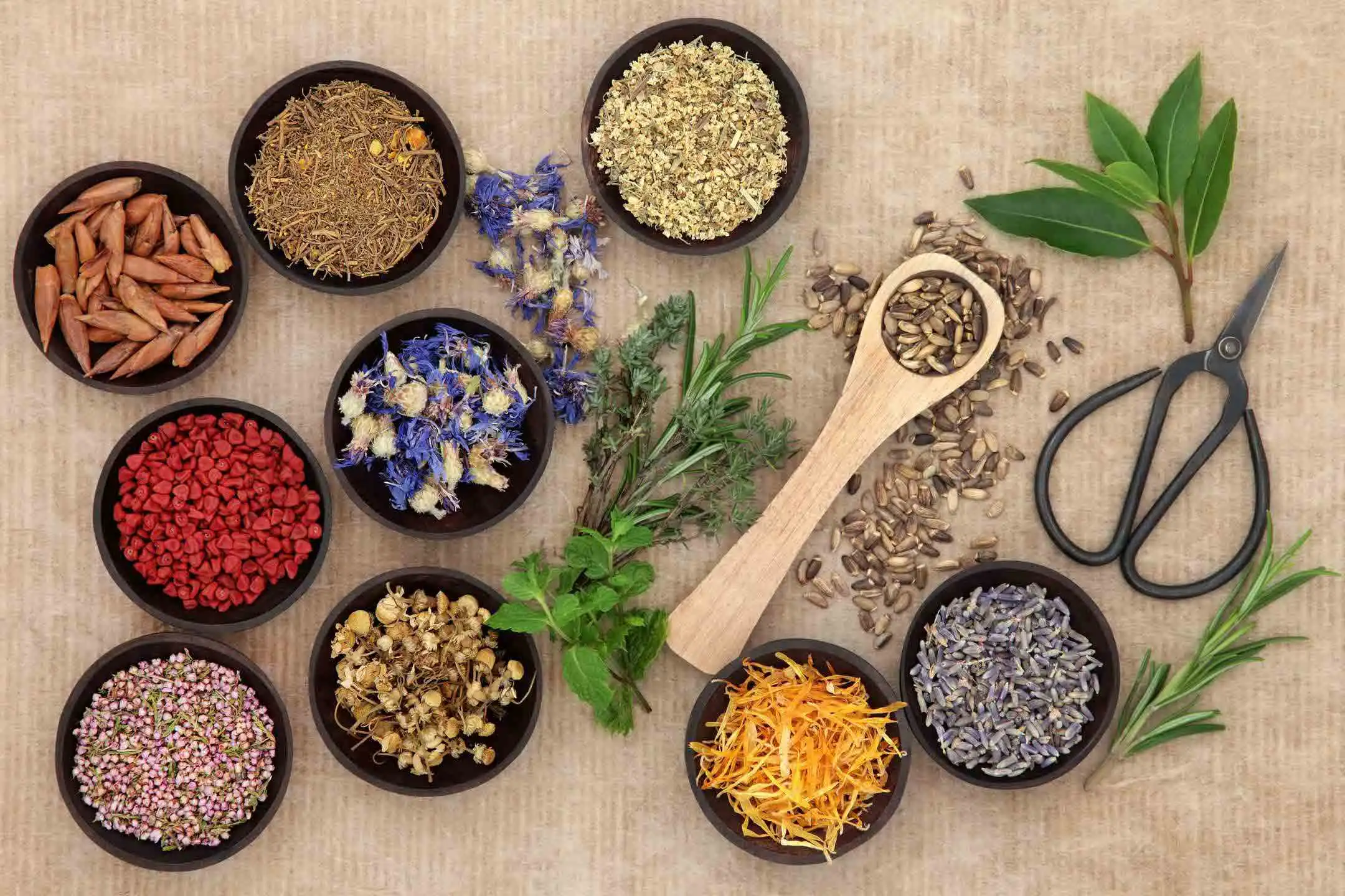 what herbal tea is best for insomnia