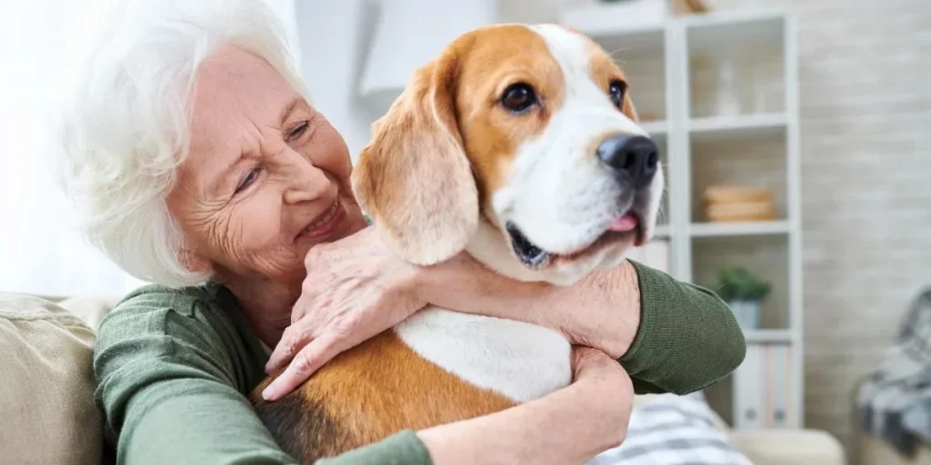 pet care for the elderly
