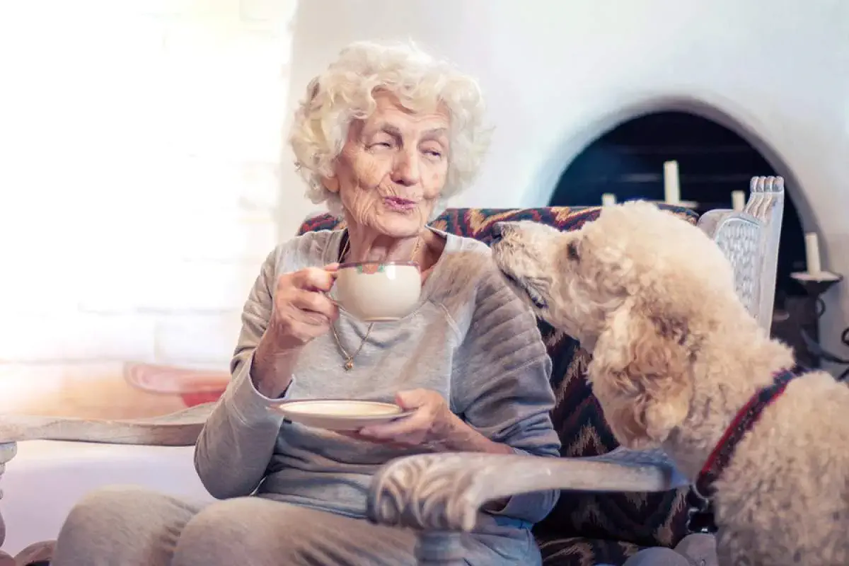 pet care tips for older adults