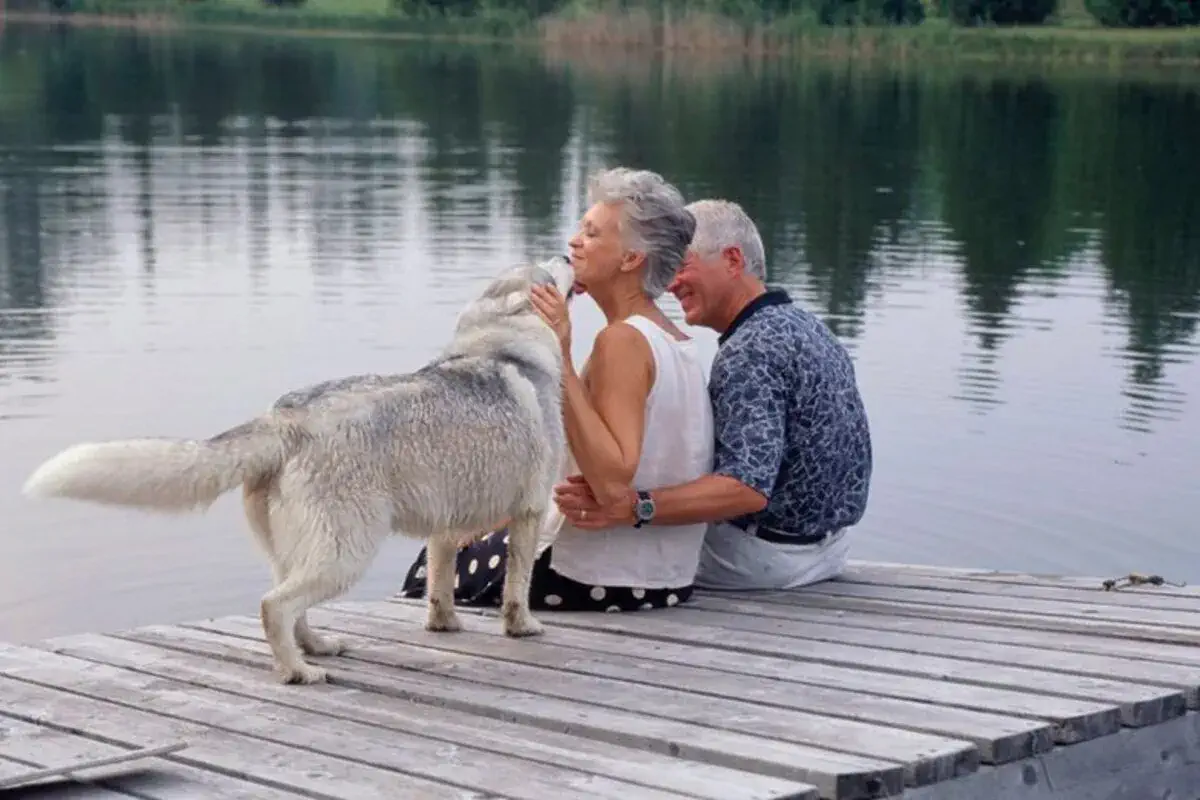 what are the potential drawbacks of owning a pet for an elderly person