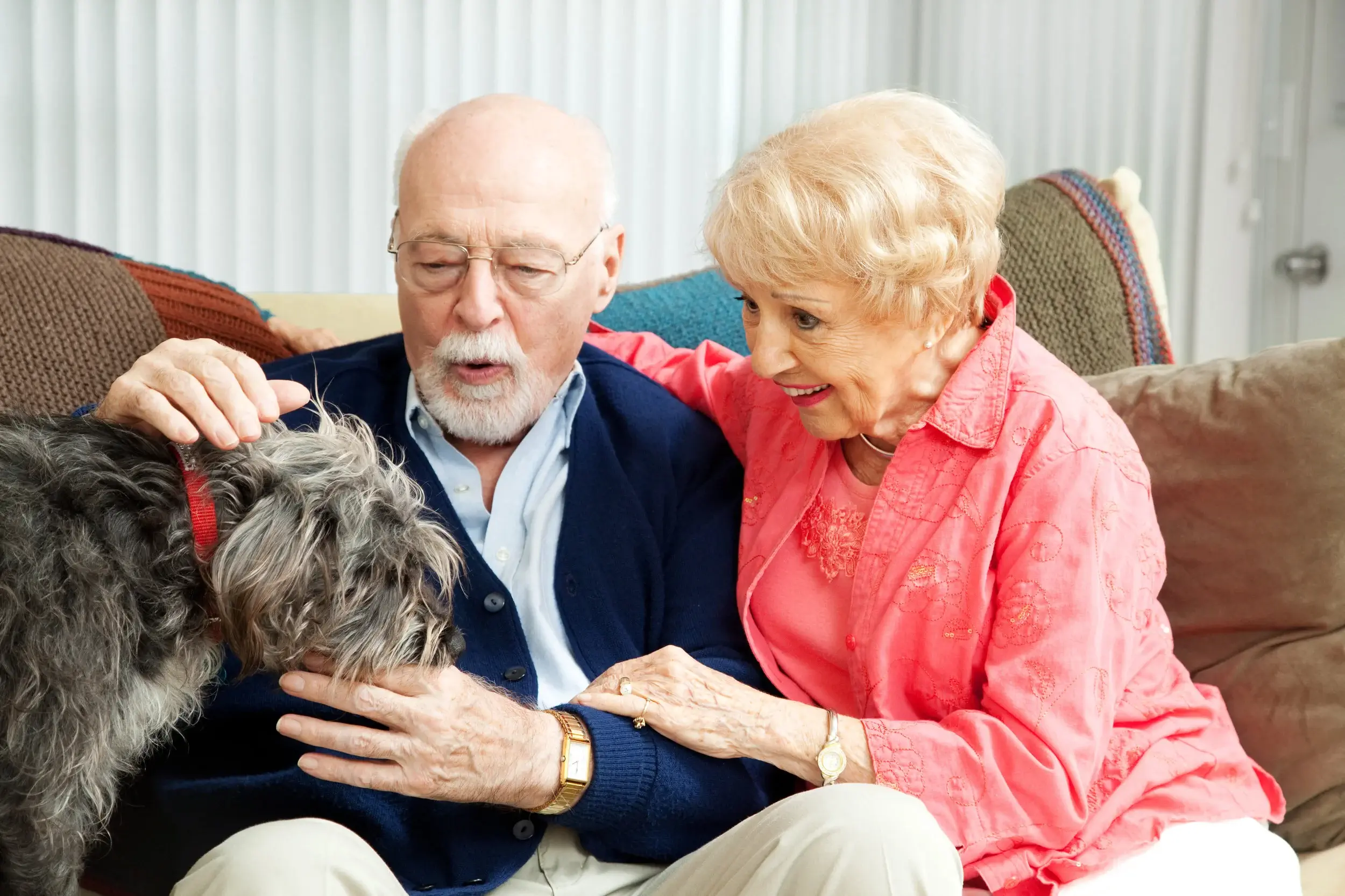 psychological physical benefits of pets for elderly