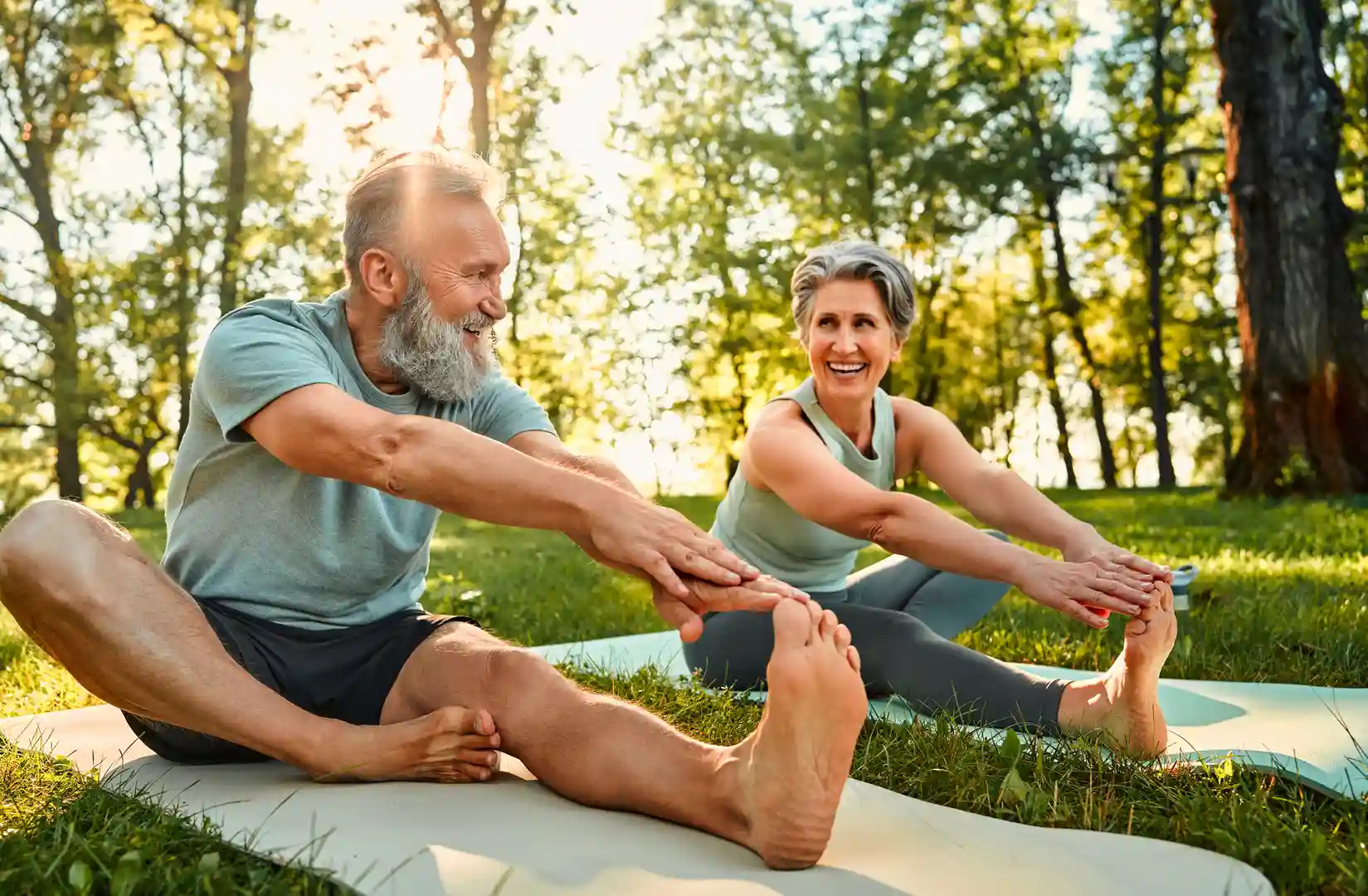 What is a flexibility exercise
