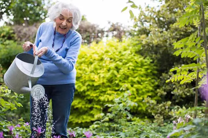 gardening is best hobbies for retired men over 70 at home