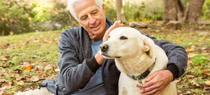 pet therapy