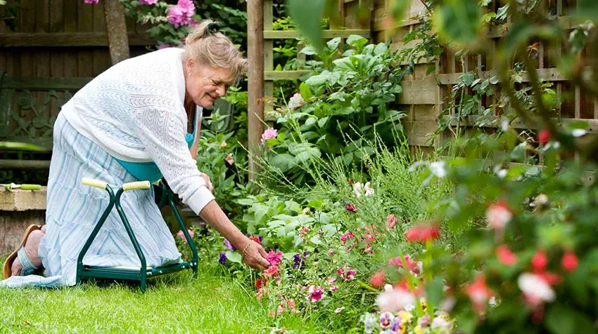 simple gardening ideas for seniors with limited mobility