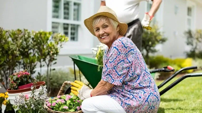 top simple gardening ideas for seniors with limited mobility
