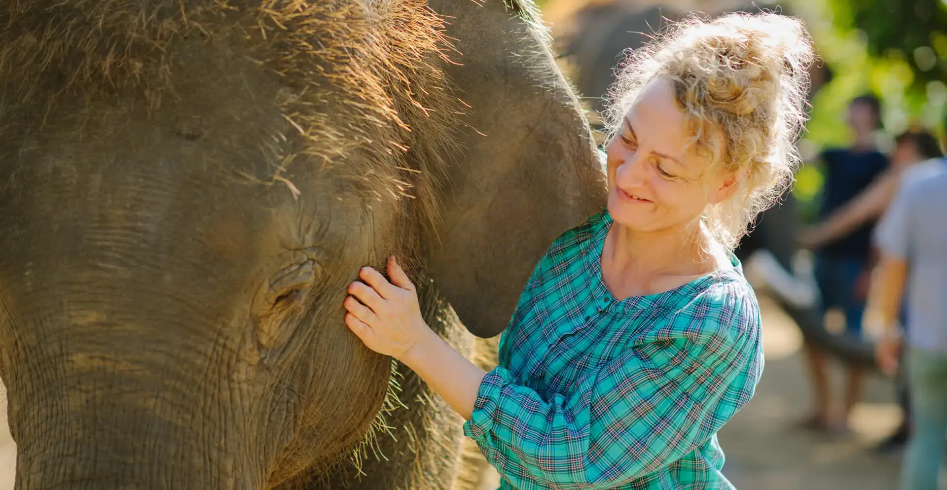 best volunteer opportunities for seniors near me