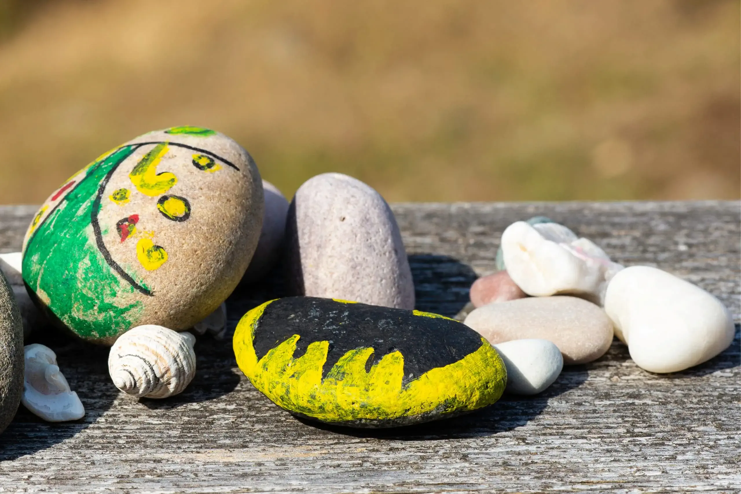 rock crafts for adults