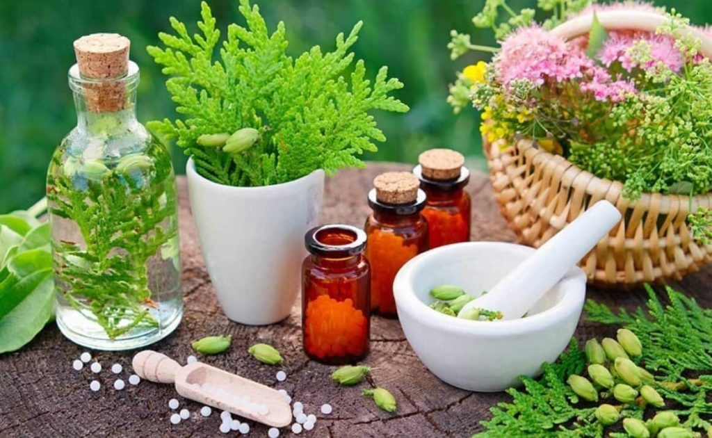 herbal remedies for elderly